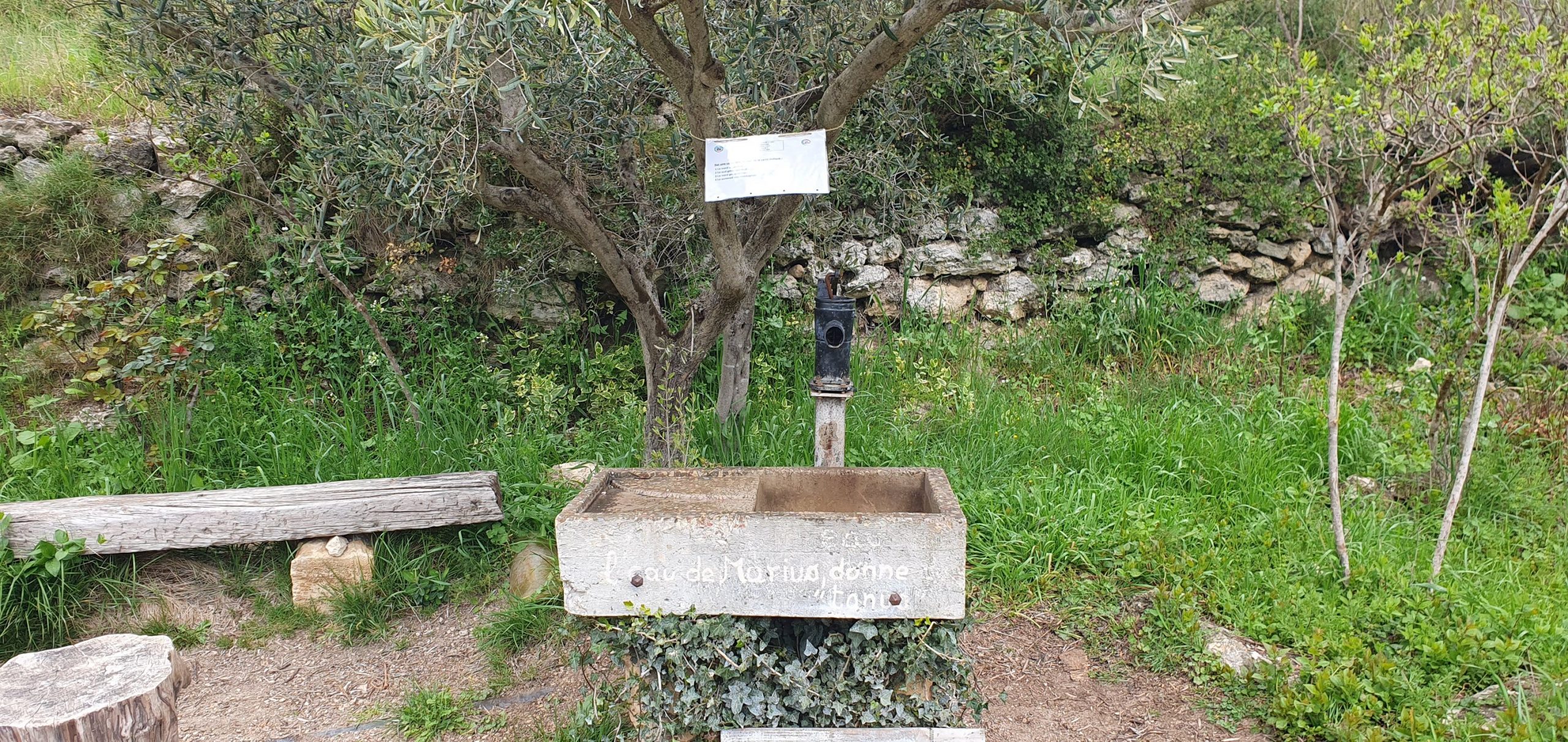 Rallye Raid 2026 - 7